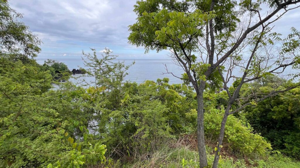 Beachfront land for sale in Amed Bali